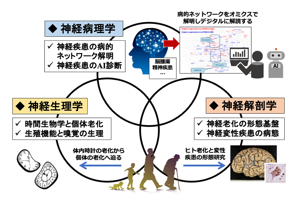 統合脳神経科学の研究体制